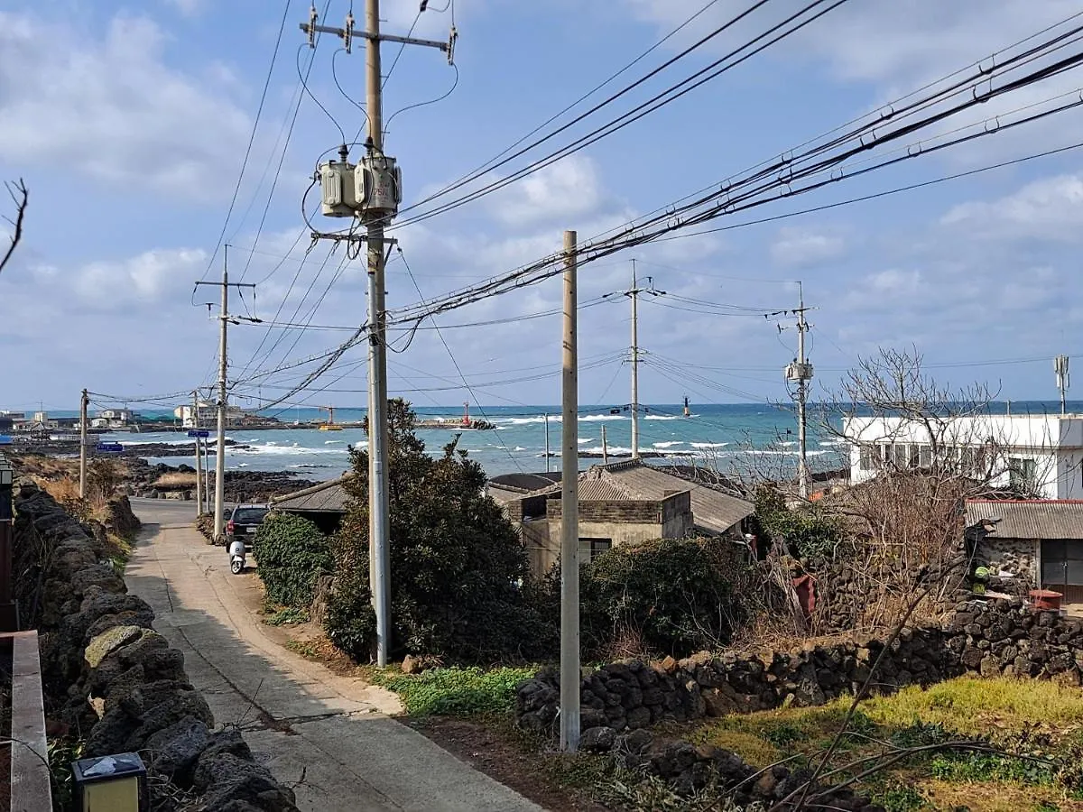 Jeju Suwoo Pool Skause Holiday home