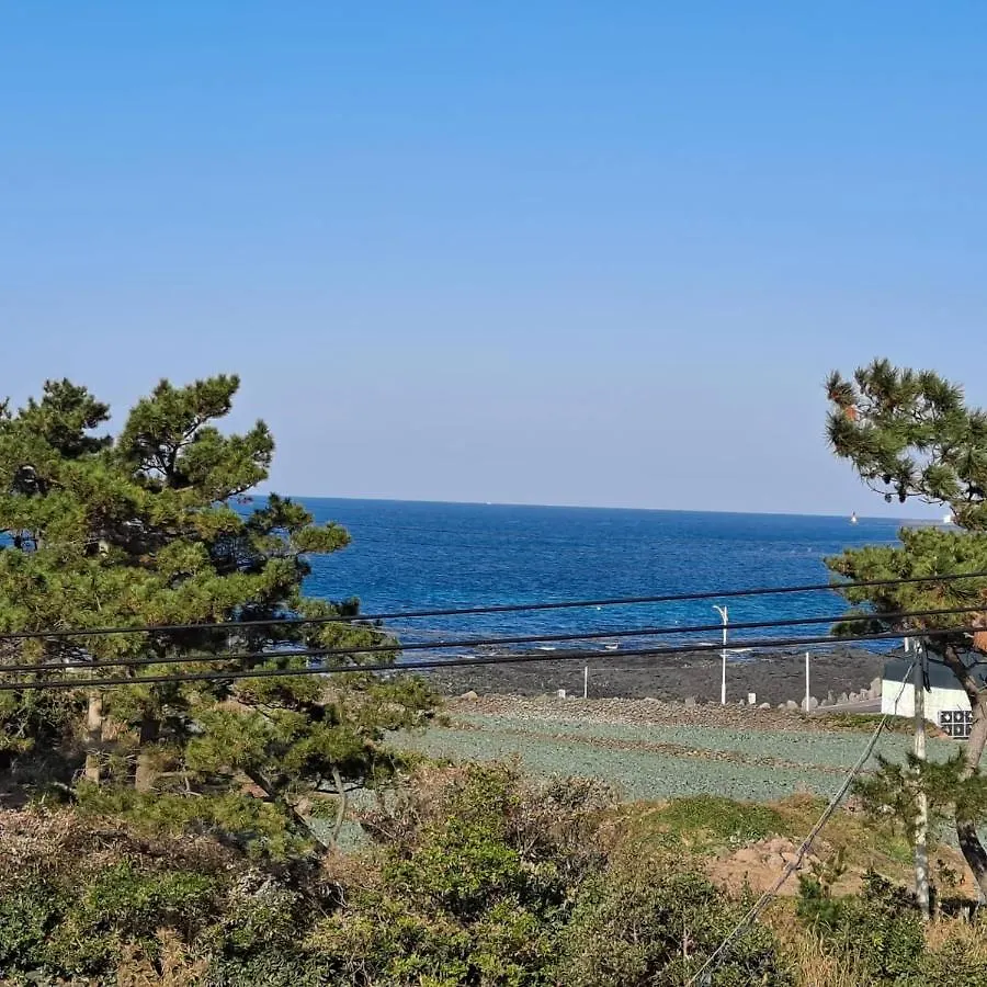 Jeju Suwoo Pool Skause Holiday home